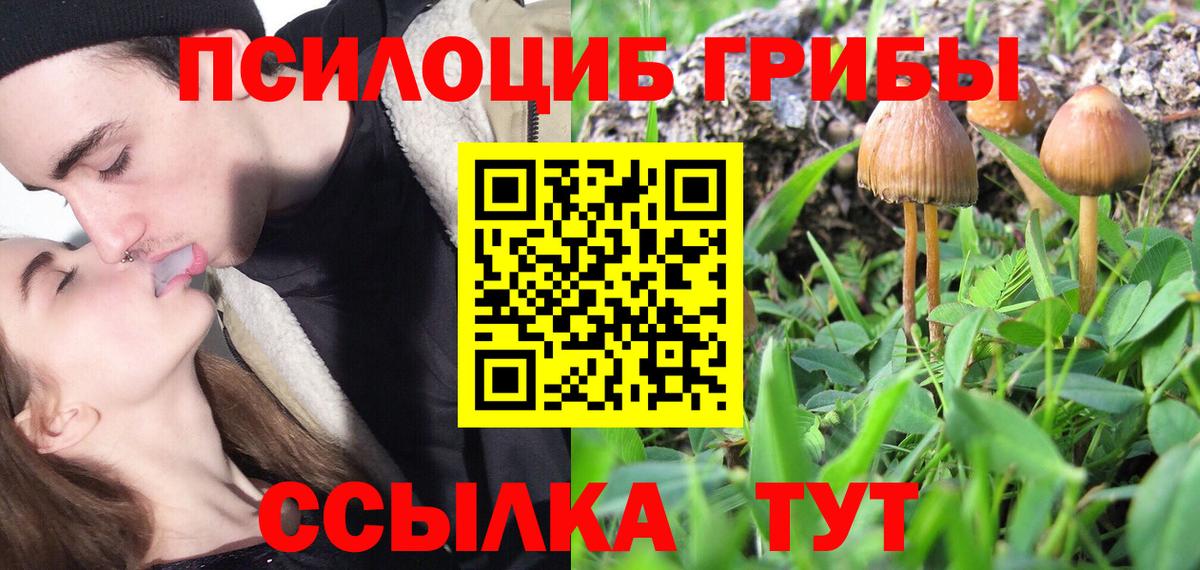 Знаменск  Галлюциногенные грибы Cubensis  Вход с VPN  Псилоцибиновые грибы GOLDEN TEACHER 